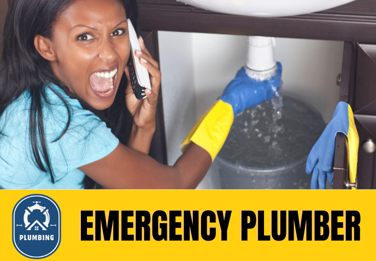 emergency plumber Swanley