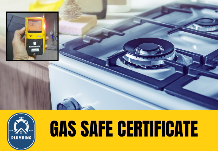 gas safe certificate Swanley