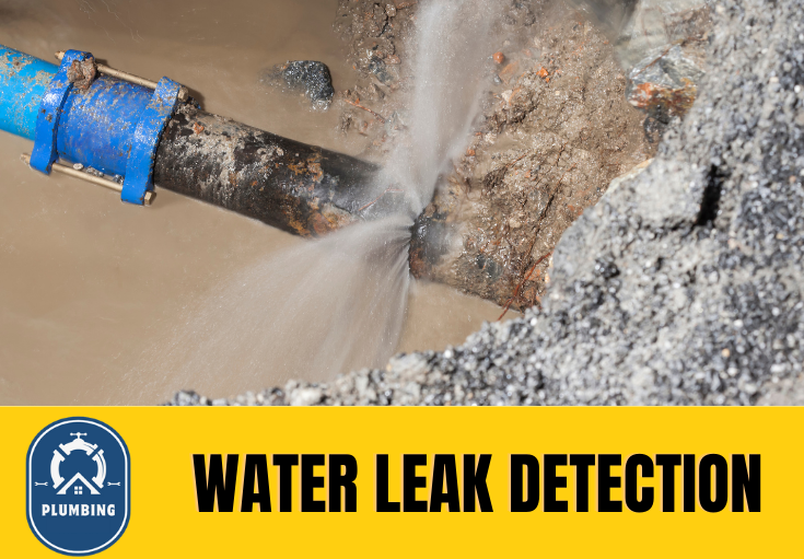 leak detection Swanley